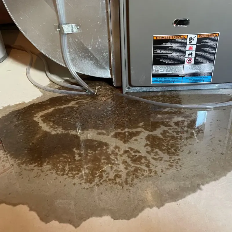 Pipe Burst and Leak Restoration in Raymond, ME